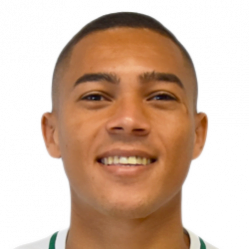 Carlos Vinícius