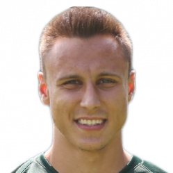 Dominik Franke