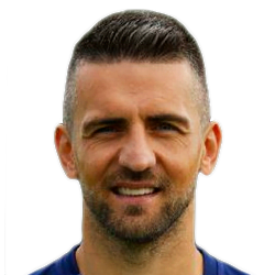 Vedad Ibisevic Vedad Ibisevic