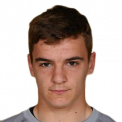 Rok Vodišek
